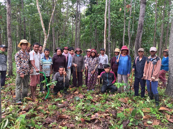 Managing Forest Ecosystems in an Integrated Manner in Cambodia