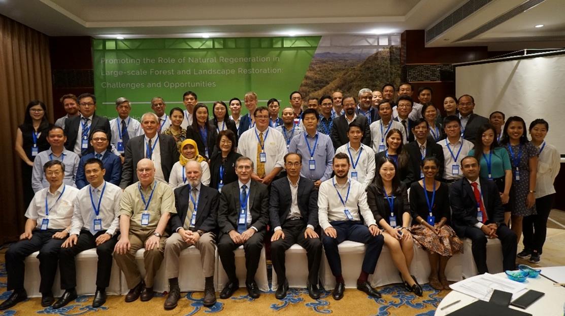 Promoting natural regeneration in the Asia-Pacific region: APFNet and FAO host workshop on the role of natural regeneration in restoration efforts