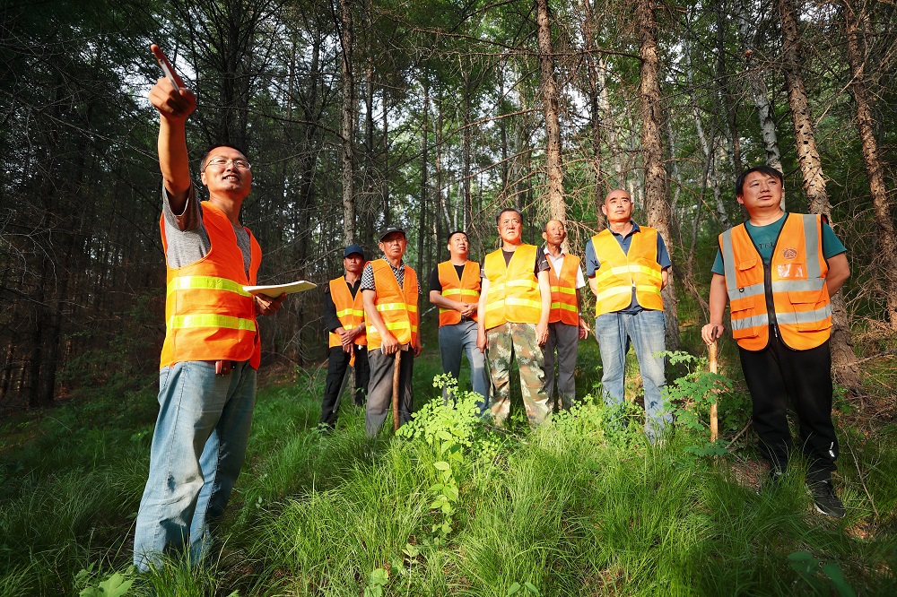 25.Construction of Multifunction Forest Management Demonstration Sites - Phase II