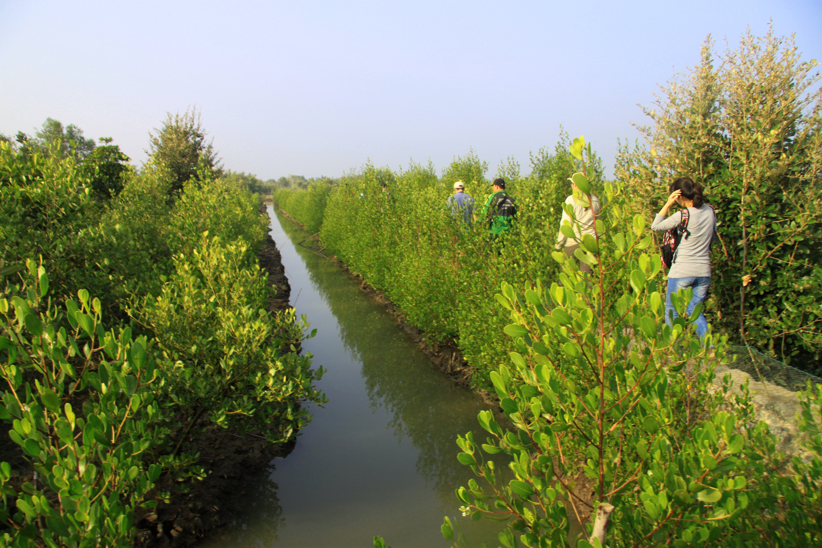 Integrated planning and practices for mangrove management associated with agriculture and aquaculture in Myanmar Return list