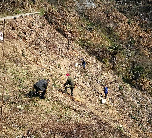 浙皖山区森林景观恢复与可持续经营试验示范项目