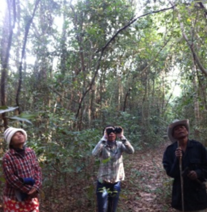 Multi-function forest restoration and management of degraded forest areas in Cambodia