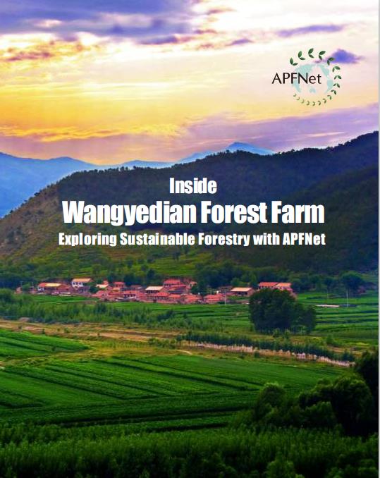 Inside Wangyedian Forest Farm - Exploring Sustainable Forestry with APFNet