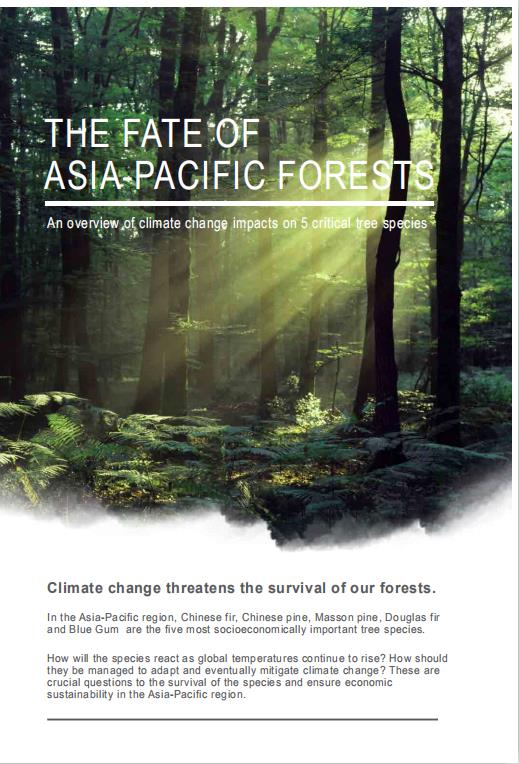 The fate of Asia-Pacific Forests
