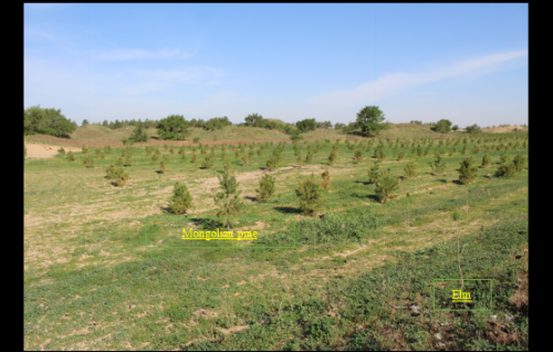 46.Demonstration of vegetation restoration and management and utilization of forest resources in the Greater Central Asia (Chifeng site) Phase II