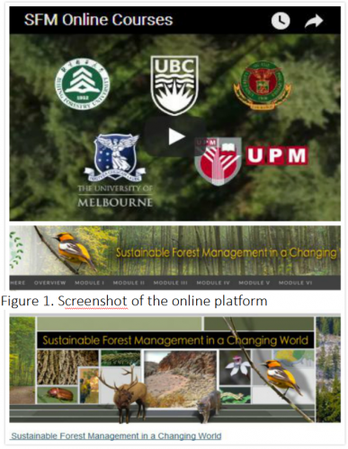 38.Innovative Sustainable Forest Management Education in the Asia-Pacific Region (Phase II)