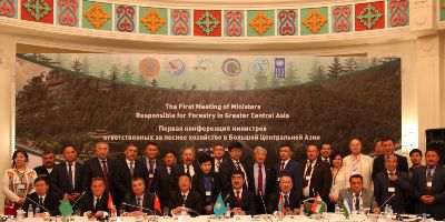 大中亚地区林业部长首次会晤 共谱绿色丝绸之路新篇章