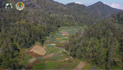 <b> Supporting Participatory Agroforestry for Erosion Control in Bengawan Solo Watershed, Indonesia</b>