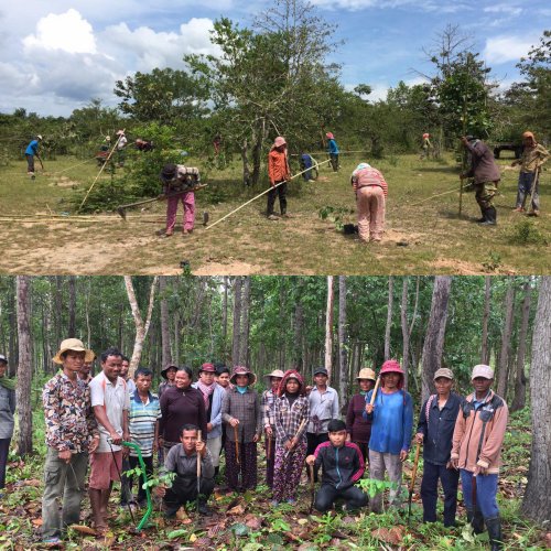 Villagers' participation in planting tree to promote community forest restoration