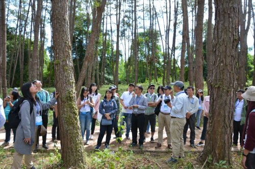 Field Visit to APFNet project site at Wanzhangshan Forest Farm