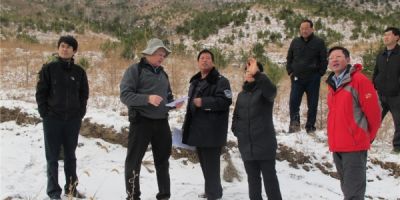 FAO Expert Visited Wangyedian Forest Farm for Project Site Selection