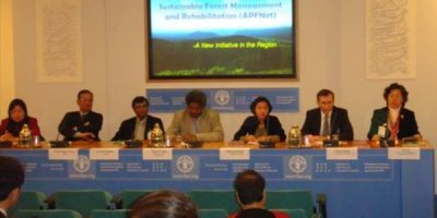 亚太森林恢复与可持续管理网络参加联合国粮农组织第19届林业委员会会议