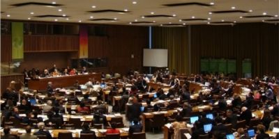 亚太森林恢复与可持续管理网络派员参加联合国森林论坛第八次会议