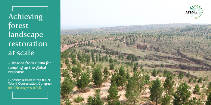 <b>Achieving forest landscape restoration at scale – Join APFNet at the IUCN World Conservation Congress!</b>